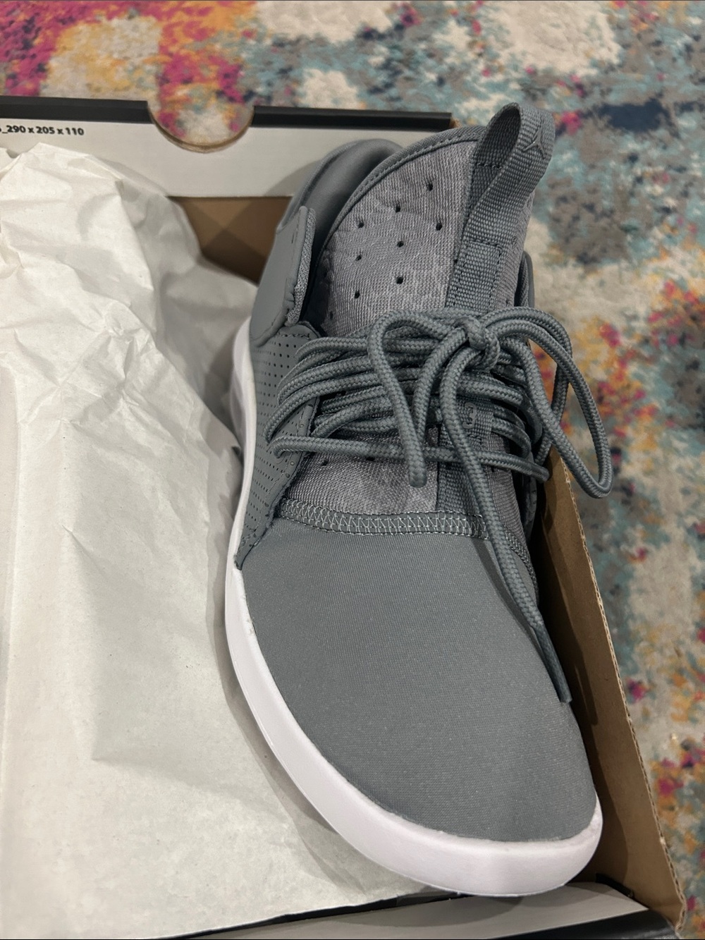 Air Jordan First Class